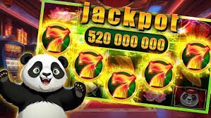 456bet444